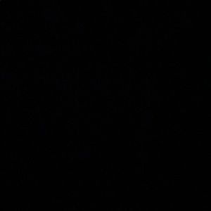 Meet your Posher, Ari